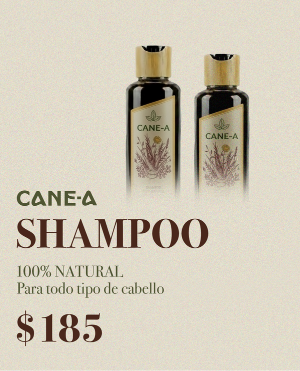 Shampoo Anti-canas 1L